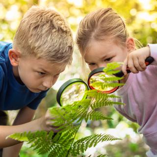 Wycieczka do Górzna